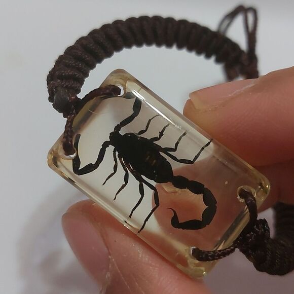 Preserved Real Black Scorpion Brown Adjustable Cord Bracelet - Picture 4 of 5